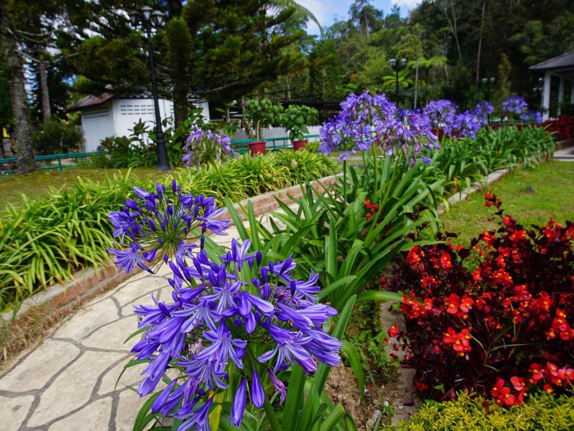 Spot On 89751 Bed Station Hotel Tanah Rata